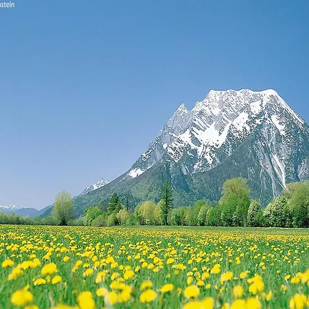 Διαμέρισμα Attractive Near Lift Rohrmoos-Untertal